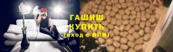 ECSTASY Белокуриха